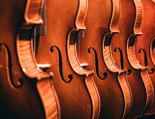 Violin Lessons in Holly Springs & Fuquay-Varina